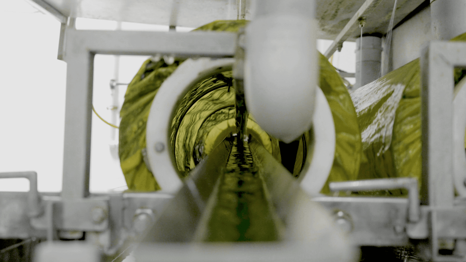Harvest & Processing facilities