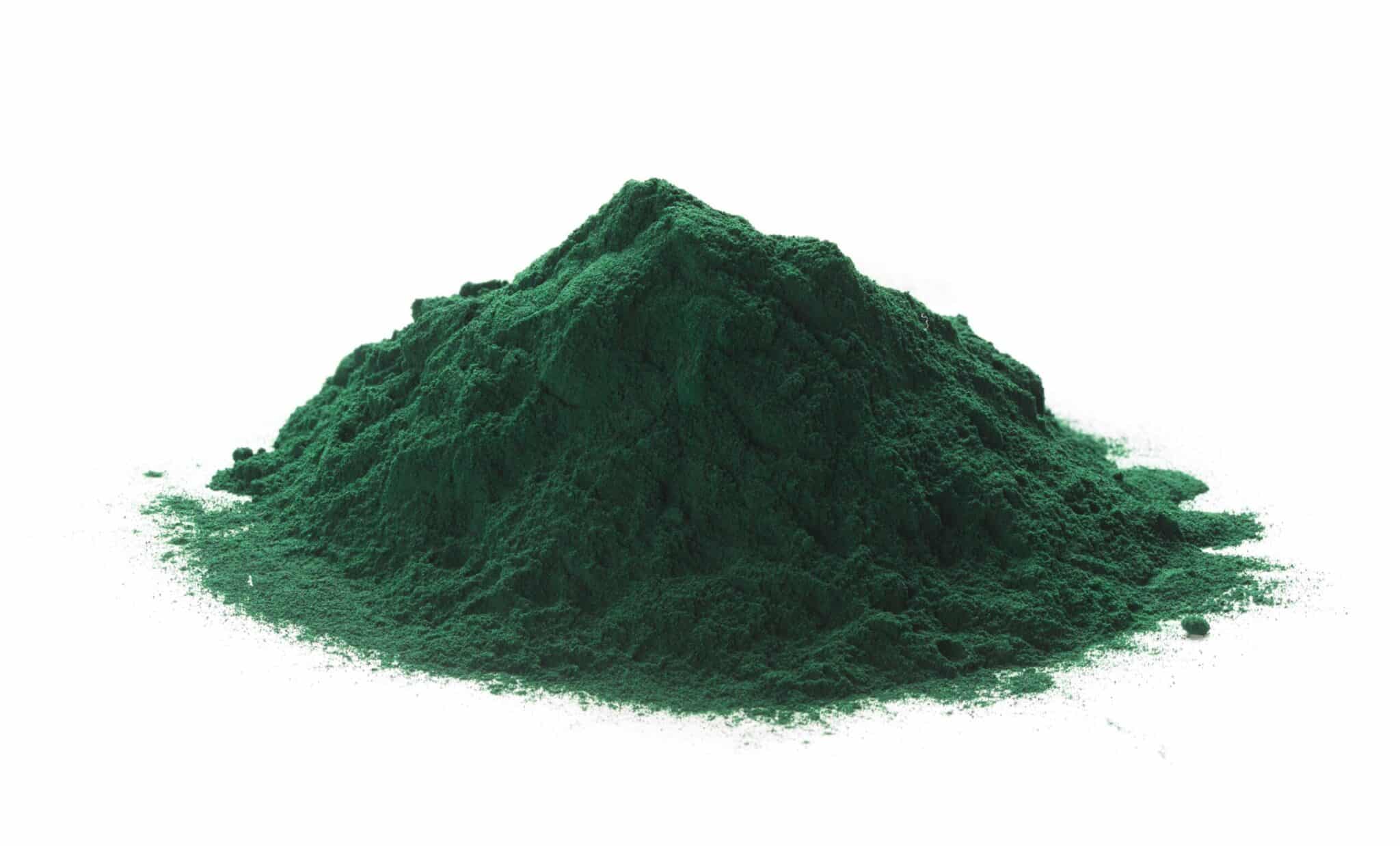 Spirulina Premium Grade - Premium organic B2B nutraceutical ingredient from Viridia Biotech
