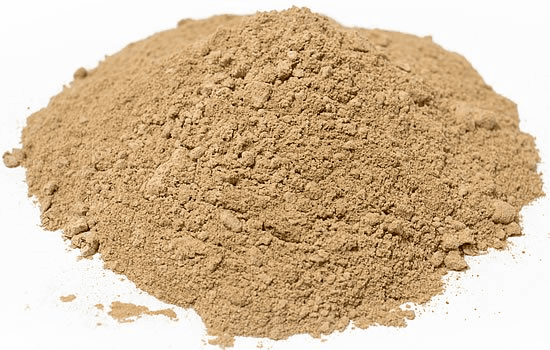 Lion's Mane Powder - Premium organic B2B nutraceutical ingredient from Viridia Biotech